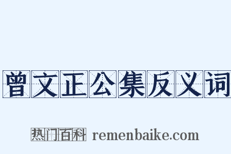 曾文正公集反义词是什么意思的图片